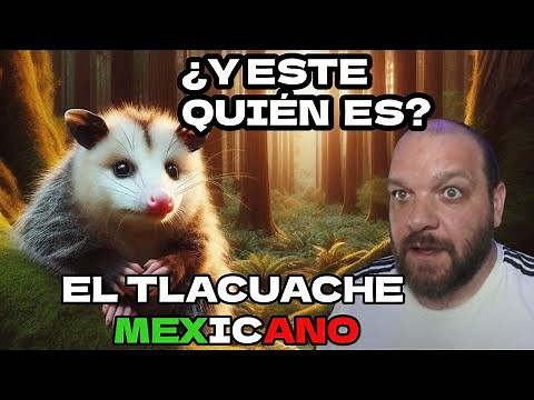 28 cosas que no conocías del tlacuache mexicano, su historia y naturaleza