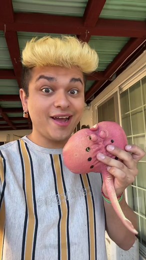 The stingray grew so big.. 🤯💦 (which one should I throw in the pool next?) #watertoys #growtoys #watergrowingtoys #dinosaur #grow #magic #waterbeads #aquarium #stingray #experiment #project #pool #swimmingpool #creatures #brandyrose