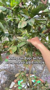 331K views · 5.7K reactions | Cách làm này cũng hợp lý mà sợ làm xong là ba mẹ "xử" đẹp thôi  #YAN #Storytrending | YAN Foods | Facebook