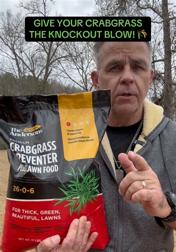 Effective Crabgrass Control with Andersons Fertilizer