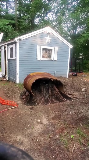#stumpburning #stumpgrinder #stumpgrinding #stump #stumpy #stumpremoval #stumptransformation #stumpchallenge