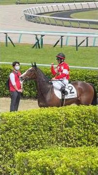 戸崎圭太騎手 24勝目 ルージュボヤージュ
