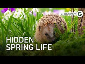 A Season Begins: Life Returns to the Garden | Full Documentary