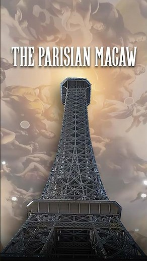 Travel the World: Best Macau, China Adventures & City Guide