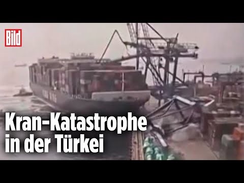 Containerschiff crasht in Hafen