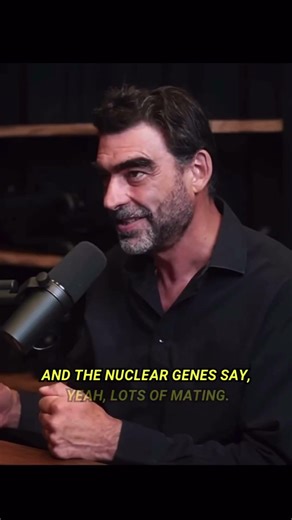 What Happened To Neanderthals ? w/ Nick Lane & Lex Fridman