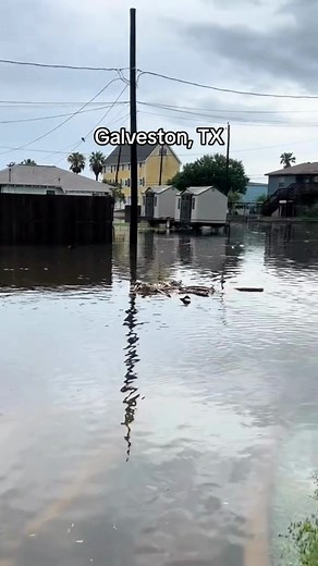 1.3K views · 111 reactions | Heavy rain on Sunday, July 21, 2024, causes Galveston Island to flood. ⛈️  chickenfriedchelsie via TT #texas #flooding #gulfcoast #weatehr #texascoast #galveston | Lonestarlive.com | Facebook