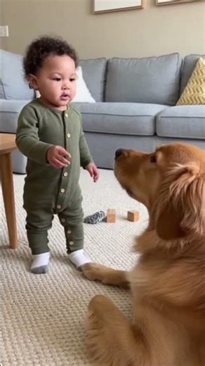 Boss Baby Orders Dog to Bark Loudly! 😤🐶 | Hilarious Tiny Boss Moment
