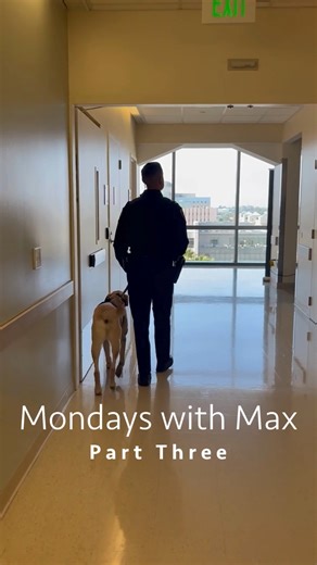 14 reactions | Meet K9 Max, a 6-year-old Labrador retriever trained in human tracking and bomb detection. Max is key member of UCI police and spends much of his time at UCI Medical Center in Orange. Join us over the next few weeks as we get to know #K9 Max and his partner, Officer Chavez in our new series, Mondays with Max. | UCI Health | Facebook