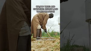 100,000 trees and counting: Niger’s land transformation
