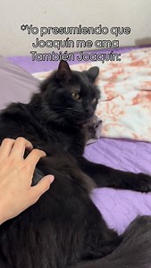 Final inesperado 🤭💕 | Sofy Cubillo