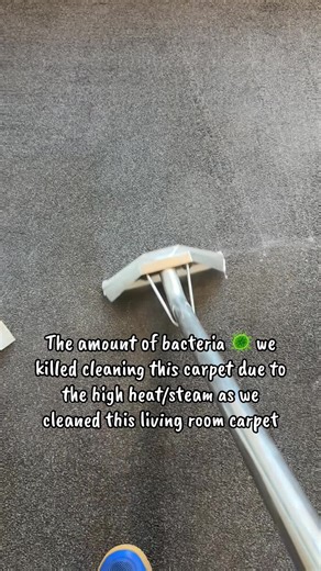 The amount of bacteria 🦠 we killed in this living room carpet due to the high heat/steam we cleaned the carpet at. Squeak and Bubbles 🫧 carpet cleaning services based in Leeds. #dirtycarpets #carpetsteaming #highheatcarpetclean #squeakandbubblesleedscarpetcleaners #carpetwashing