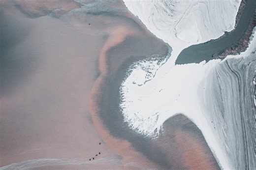 How to Compete When Industries Digitize and Collide: An Ecosystem Development Framework