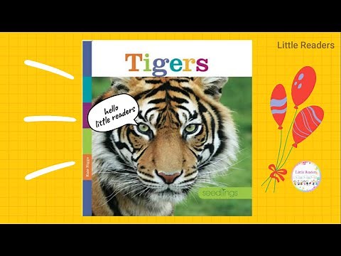 TIGERS | Animal Book for Kids Read Aloud