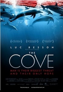 The Cove