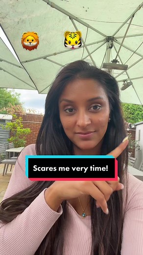 Terrifying Brake Check Incident Caught on Camera