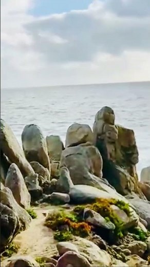 The famous “17 mile drive” at Monterey California