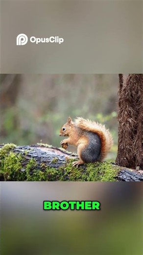 Idealism vs Materialism: the Acorn Analogy Explained