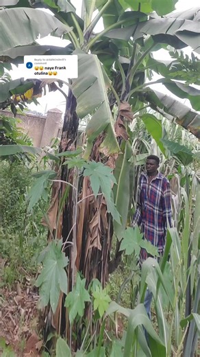 Replying to @aidahkirabo8 #fypviral #goviral #fyppppppppppppppppppppppp #trendingvideo