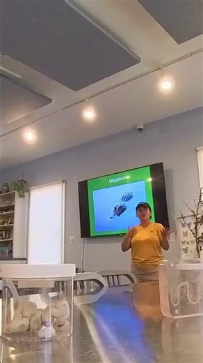 Alligator Safety Tips: How Fast Can Alligators Run & Alligator Attack Prevention