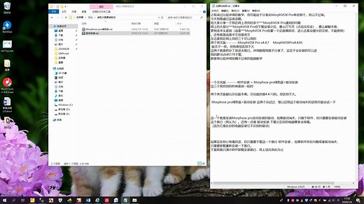 MorphVOX Pro安装和卸载