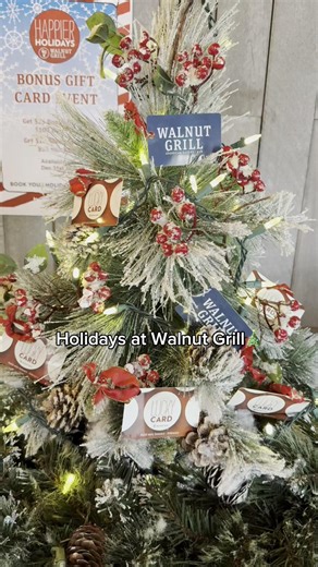 'Tis the season for good food, great company, and holiday cheer! Celebrate the season with us at Walnut Grill. 🎄 Reserve your table now: www.eatwalnut.com #EatWalnut #WalnutGrill | Walnut Grill