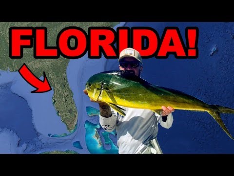 Ultimate Florida Fishing Experience | Mahi, Tuna, Sailfish, Sharks & Tarpon 🎣🌴