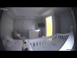 Ring Camera footage of overnight baby nurse/nanny dropped our newborn baby. Please Subscribe