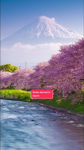 #studyabroadjapan #テンプル大学 #templeuniversityjapan #learnjapanesewithme #日本語勉強中 #アメリカ大学 #studyabroad #japan