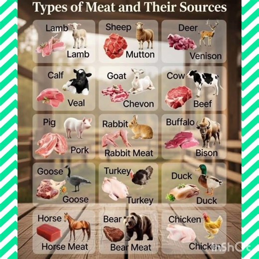 Types of Meat and their sources.......