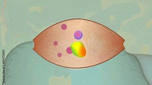 An animated exploration of a unique sea creature's habitat and behavior in vibrant detail Stock Video