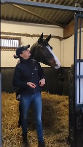 6.8K views · 35 reactions | Grüße aus Frankreich! Die Preisspitze...