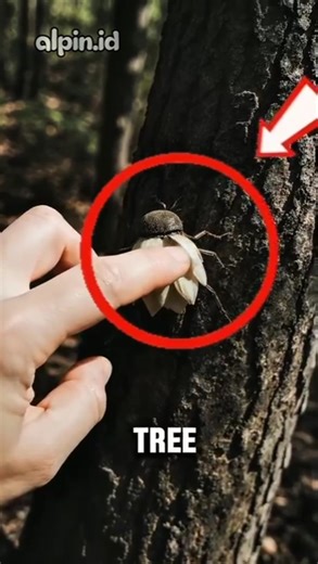 Don't touch this sticky creature‼️