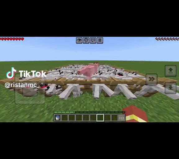 Minecraft Dream Face Reveal Scary Moment