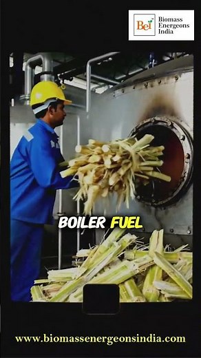 Eco-Friendly Energy: The Bagasse Boom Explained