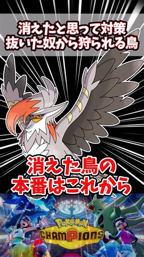 環境で見る事が少なくなってからが本番の鳥【ポケチャン】【メガムクホーク】#pokemonchampions #ポケモン #ポケモンチャンピオンズ