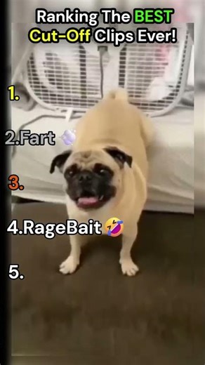 Ranking The Best Cut-Off Clips🤣