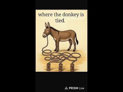 Only Genius Minds Can Solve This! 🔥 Live Maths Puzzle Game Challenge