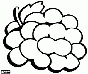 A bunch of grapes coloring page printable game