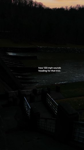 Jett 🖤(Noah’s Version) (@jett.224)’s video of Tree