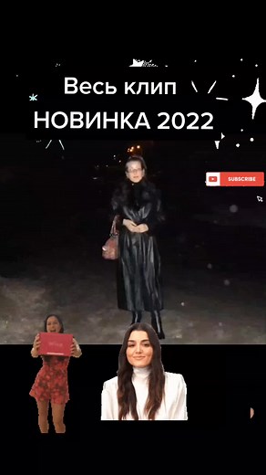 Exploring Wildfox: Captivating Moments with a Red Box