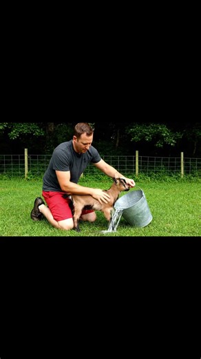 Bath time struggles! 🛁💦 Someone does not look too excited about getting clean today.