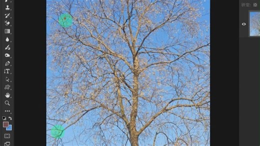 成都平面设计培训：PS橡皮擦抠图，由成都彩烘雨电脑培训提供