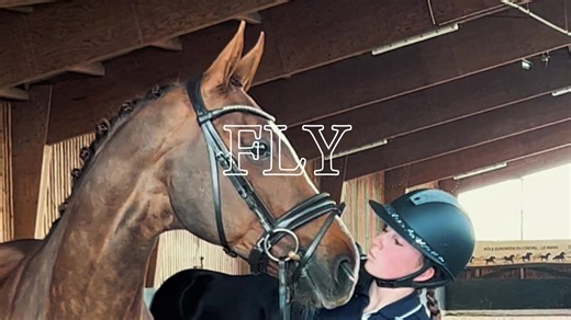 Dressage Horses in Great Britain: Season Highlights