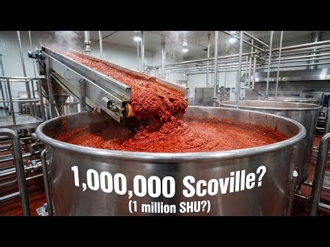 Inside the World’s Hottest Factory: Processing 50 Tons of Chilies a Day