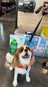 Our donation bin is filling up! Thank you to everyone who’s contributed so far! You can drop off any unused pet toys or food at our location — we’re accepting donations for pets in need! | Pet Evolution