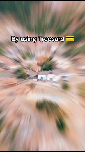 Using a Treecard builds the green economy. Reforesting the Earth Is so much more than just putting trees in the ground it has a lot to do with humans as well. Humans are the ones who are collecting the seeds, caring for the saplings, and tending to the forests. For everyone who is employed as a tree planter, this is a building block in the new green economy. Every time you spend on a treecard you are also going to pay a living wage to ambitious people in countries all around the world to people.