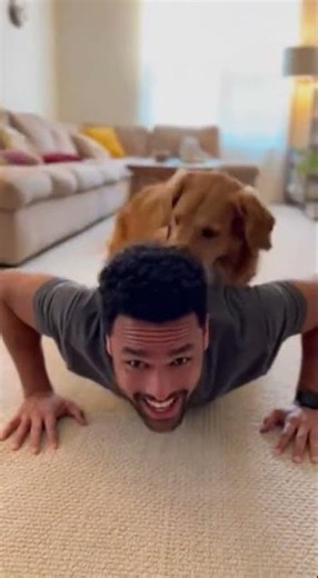 Dog Ruins Push-Up Challenge #shorts #ai #disaster #funny