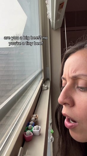 Exploring the World of Massive Cacti: The Big Beef Adventure