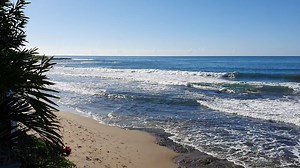 18 reactions | Wild, puur en levendig. Yah Mon, ontdek JAMAICA's unieke stranden  Treasure Beach #OntdekJamaica #VisitJamaica | Ontdek Jamaica | Facebook